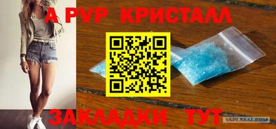 СК Моздок