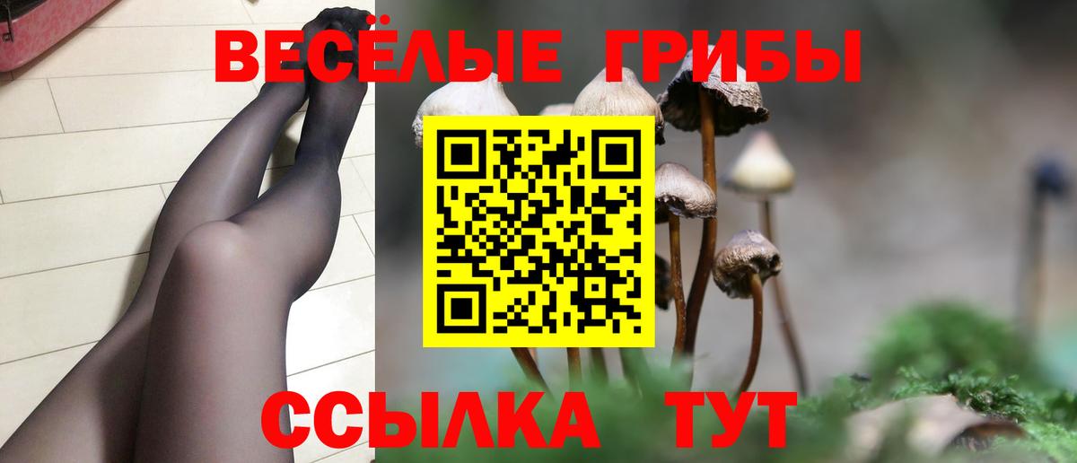 Галлюциногенные грибы GOLDEN TEACHER  Вход с VPN  продажа наркотиков  Топки 